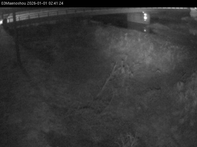 最新監視カメラ画像