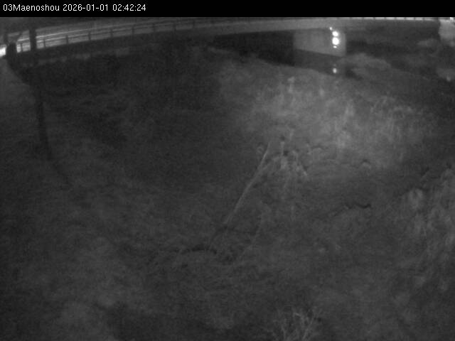 最新監視カメラ画像