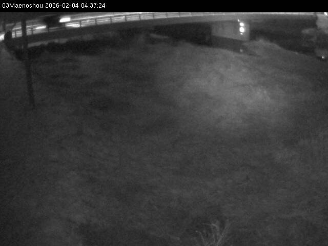 最新監視カメラ画像