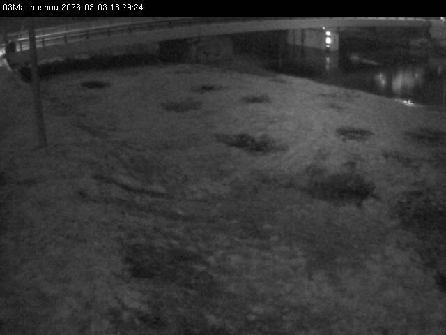 最新監視カメラ画像