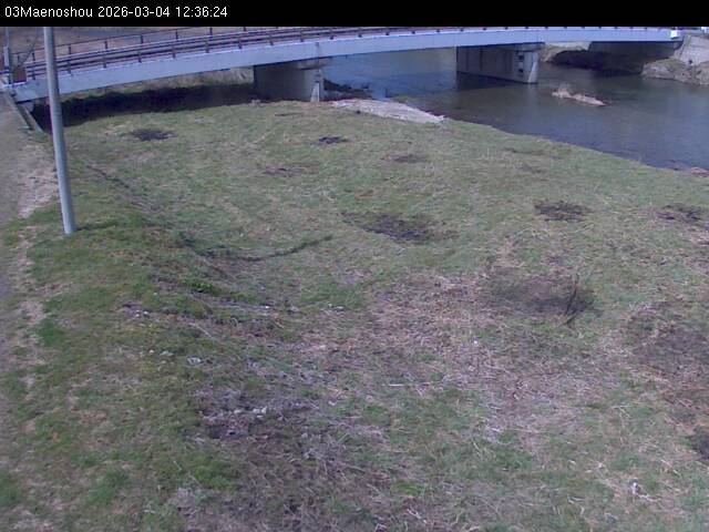 最新監視カメラ画像