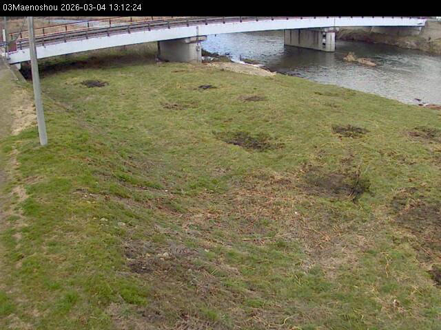 最新監視カメラ画像