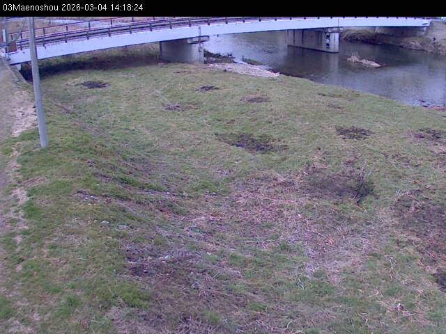 最新監視カメラ画像