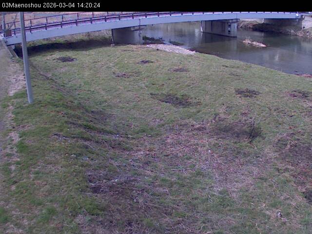 最新監視カメラ画像