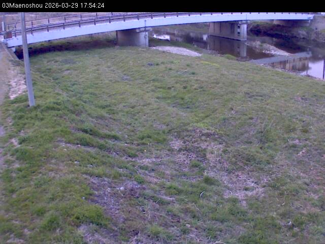 最新監視カメラ画像