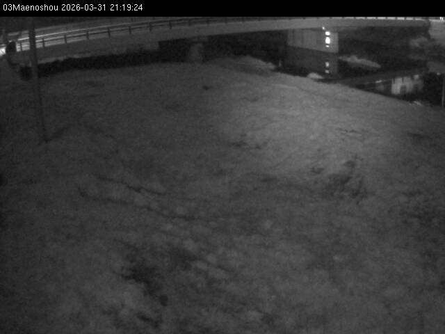 最新監視カメラ画像