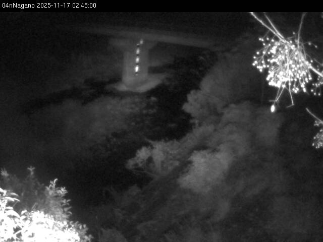 最新監視カメラ画像