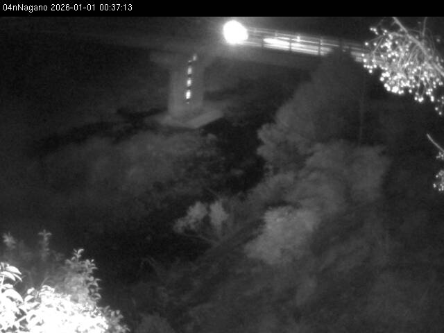 最新監視カメラ画像