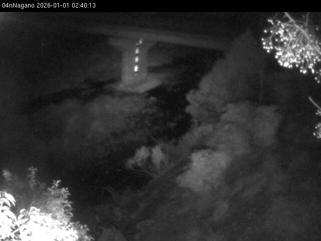 最新監視カメラ画像