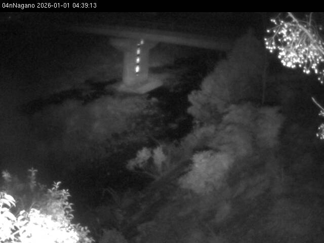 最新監視カメラ画像