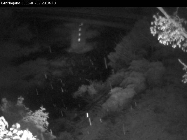 最新監視カメラ画像