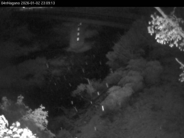 最新監視カメラ画像