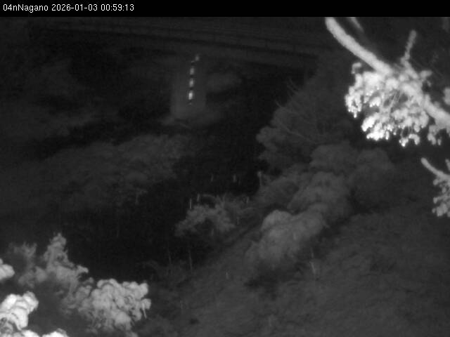 最新監視カメラ画像