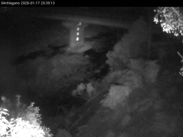 最新監視カメラ画像