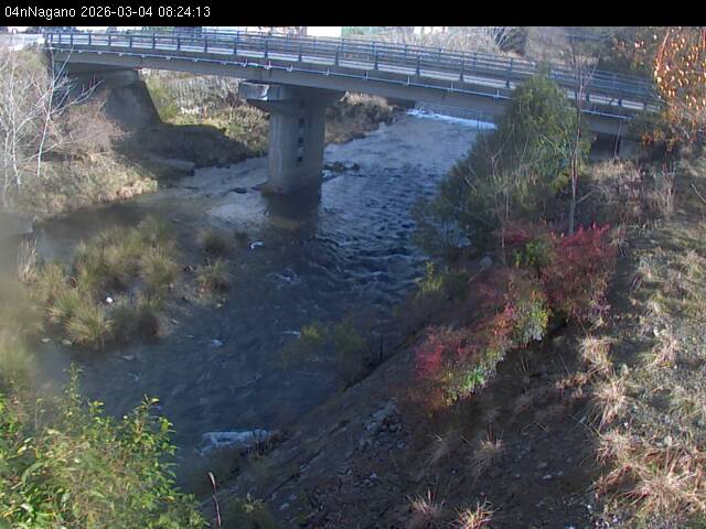 最新監視カメラ画像