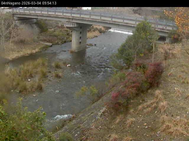 最新監視カメラ画像