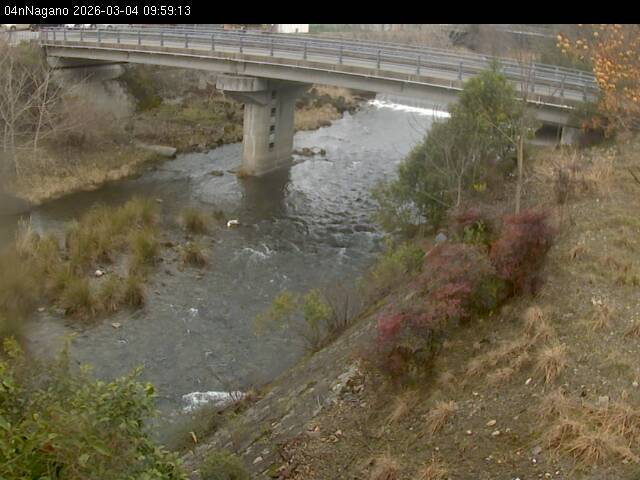 最新監視カメラ画像