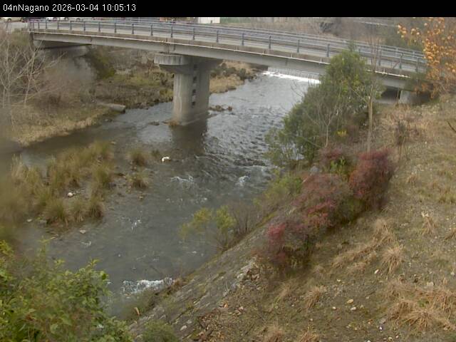 最新監視カメラ画像