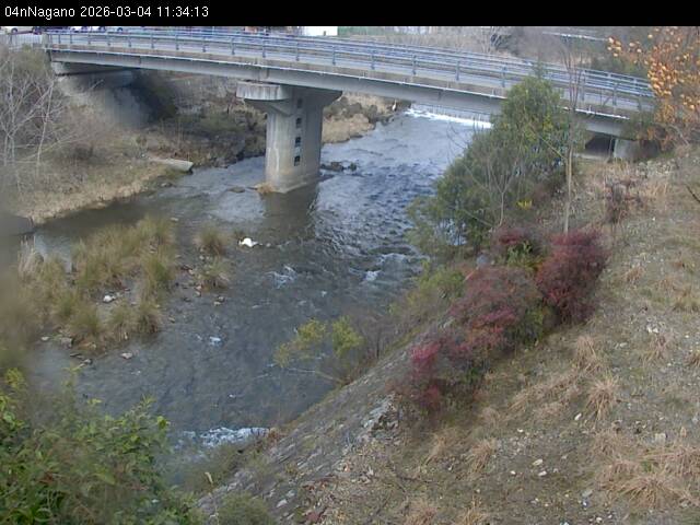 最新監視カメラ画像