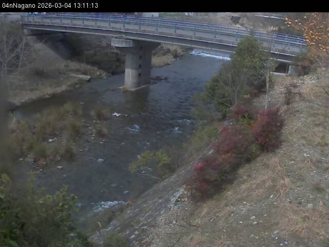 最新監視カメラ画像