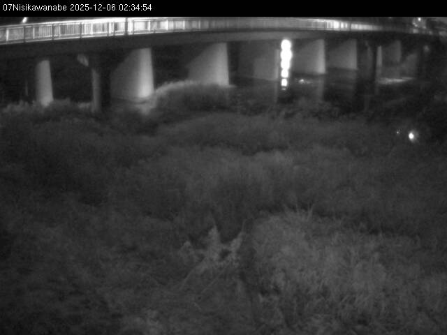 最新監視カメラ画像