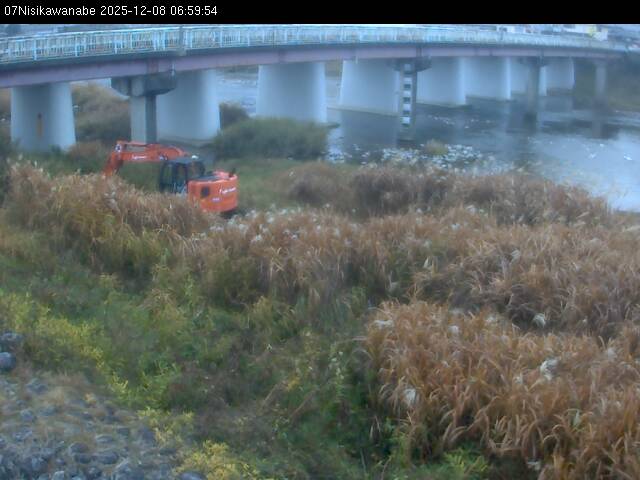 最新監視カメラ画像