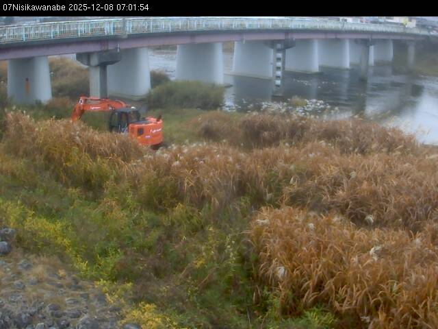 最新監視カメラ画像