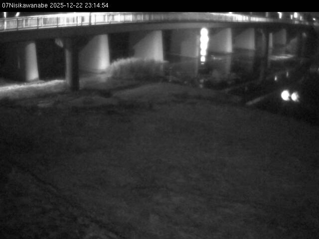 最新監視カメラ画像