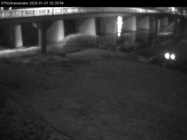 最新監視カメラ画像