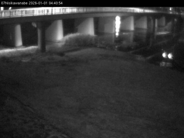 最新監視カメラ画像