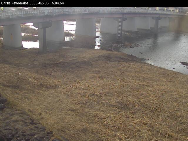 最新監視カメラ画像