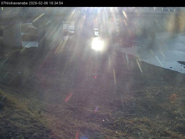 最新監視カメラ画像