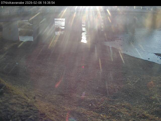 最新監視カメラ画像