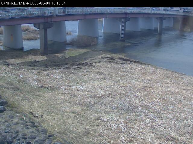 最新監視カメラ画像