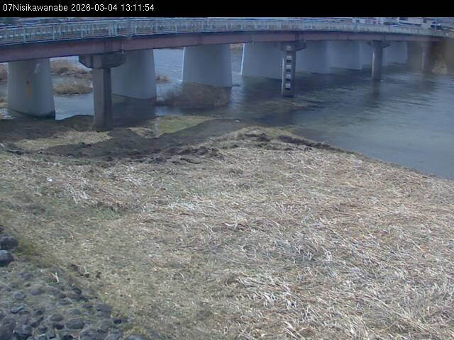 最新監視カメラ画像