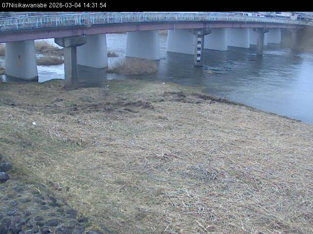 最新監視カメラ画像