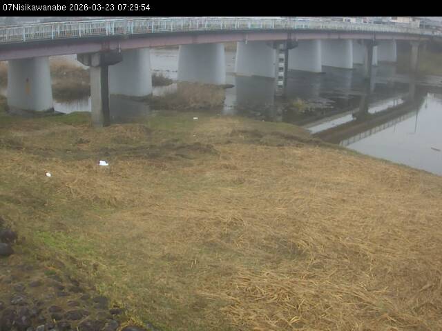 最新監視カメラ画像