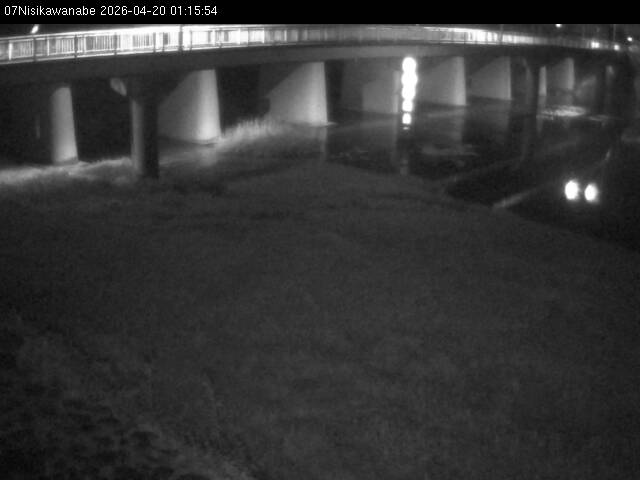 最新監視カメラ画像