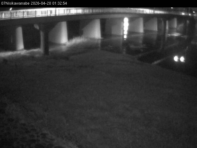 最新監視カメラ画像