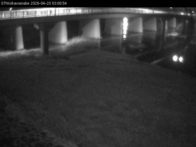 最新監視カメラ画像