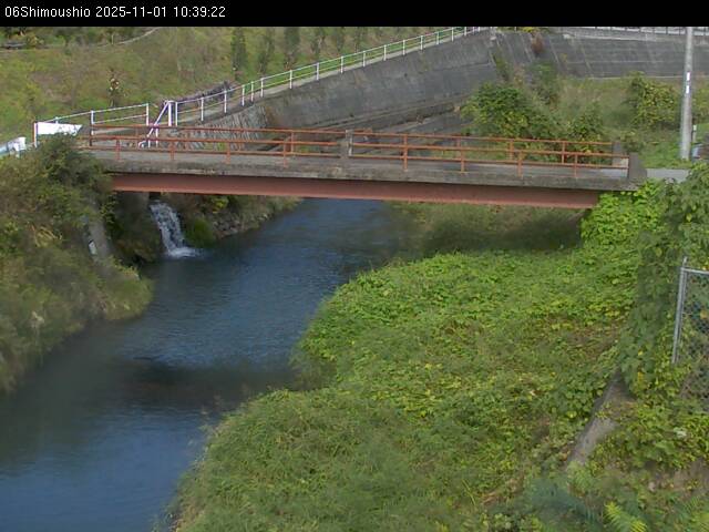 最新監視カメラ画像