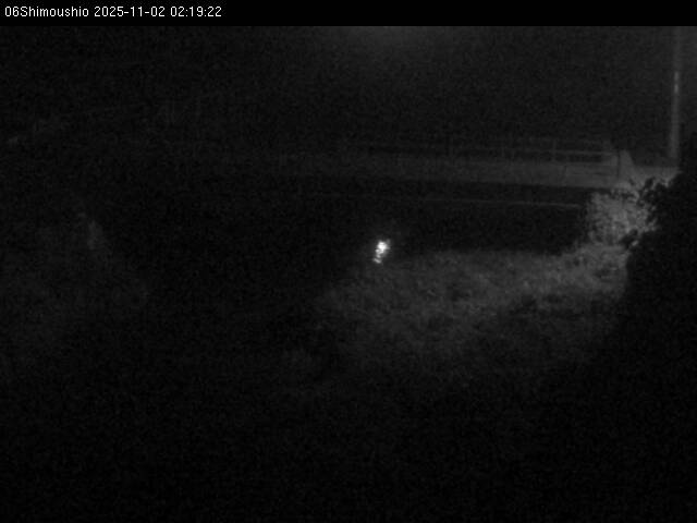 最新監視カメラ画像