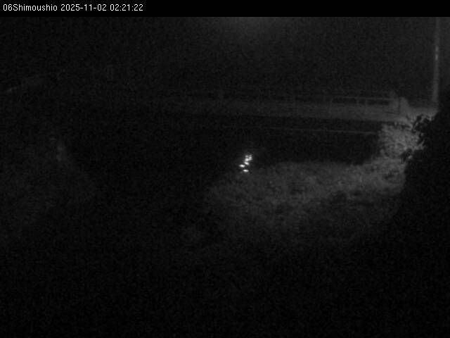 最新監視カメラ画像