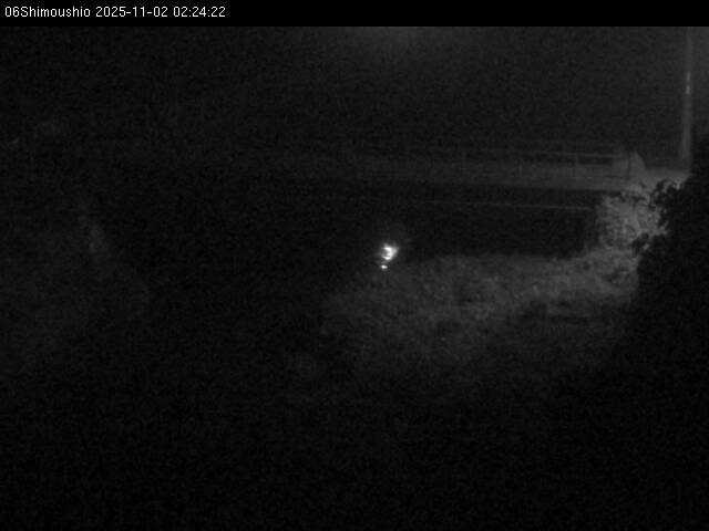 最新監視カメラ画像