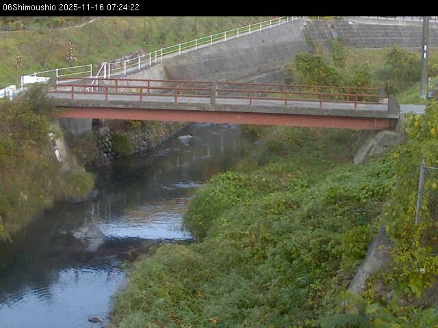 最新監視カメラ画像