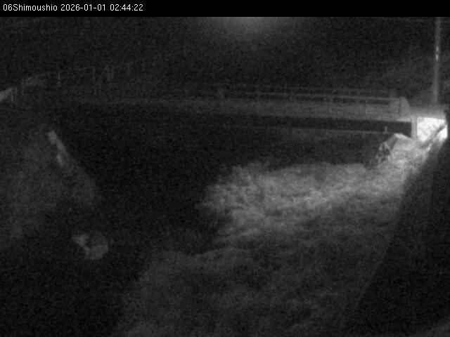 最新監視カメラ画像