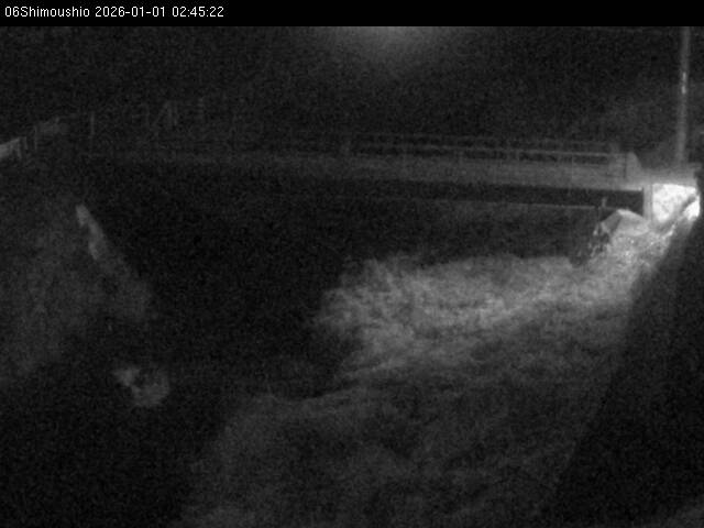 最新監視カメラ画像