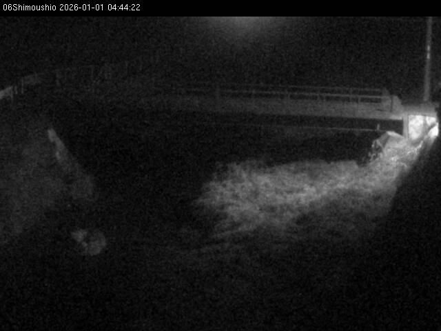 最新監視カメラ画像