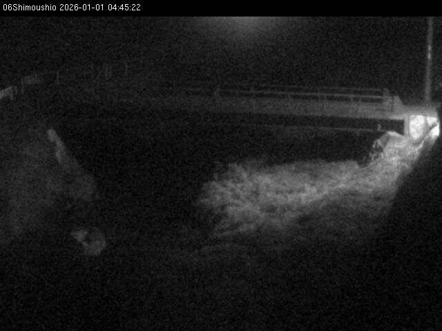 最新監視カメラ画像