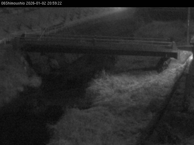 最新監視カメラ画像